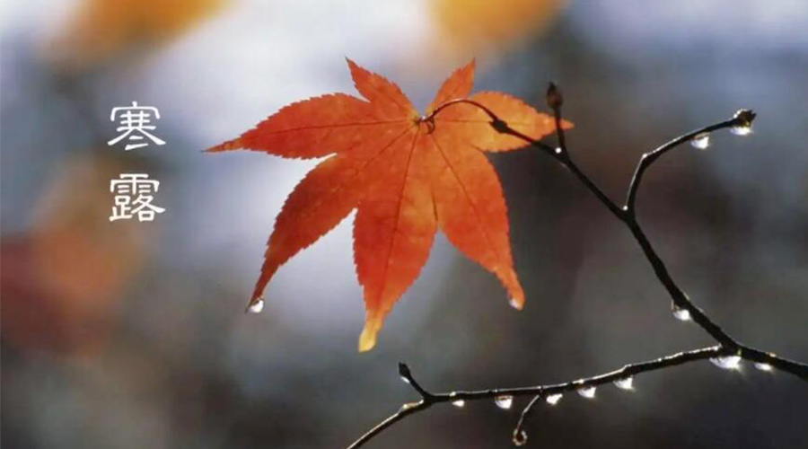 寒露時(shí)節(jié)！金環(huán)電器提醒大家要注意的事項(xiàng)