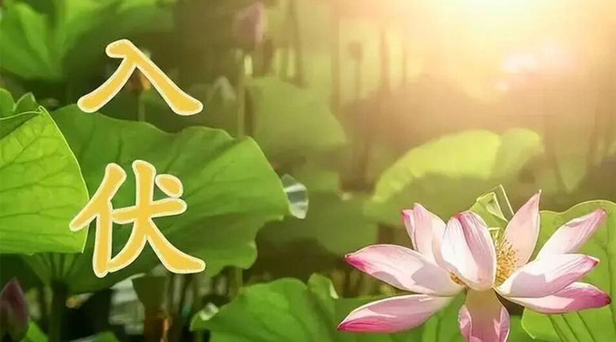 入伏天來襲！金環(huán)電器提醒大家要注意的事項(xiàng)