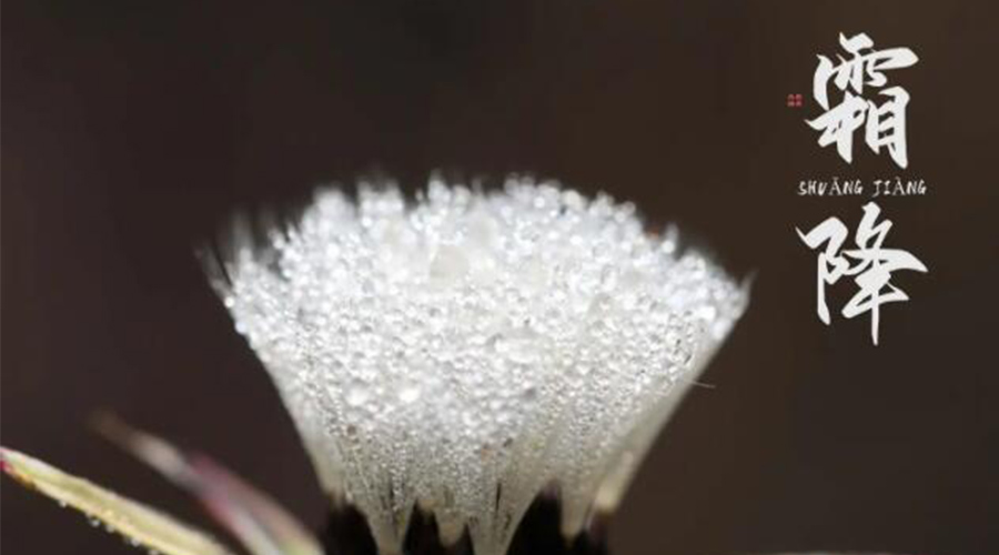 霜降時(shí)節(jié)！金環(huán)電器提醒大家要注意的事項(xiàng)