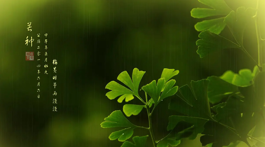 芒種時(shí)節(jié)！金環(huán)電器提醒大家的注意事項(xiàng)