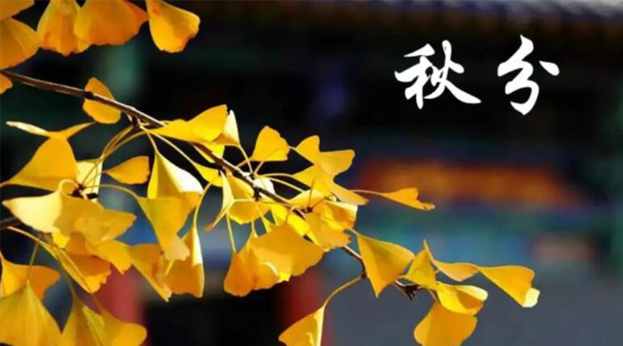 秋分時(shí)節(jié)！金環(huán)電器提醒大家要注意的事項(xiàng)